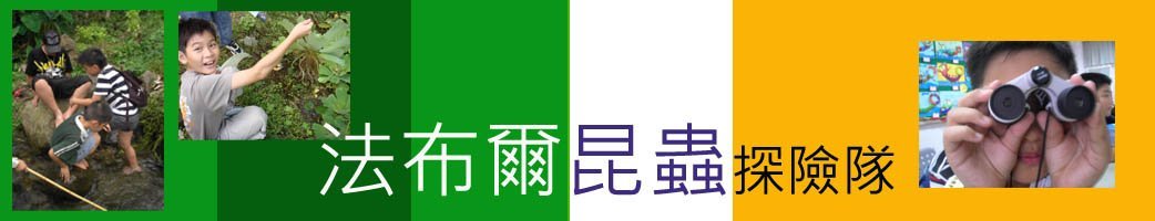 Read more about the article 法布爾昆蟲自然觀察旅行家