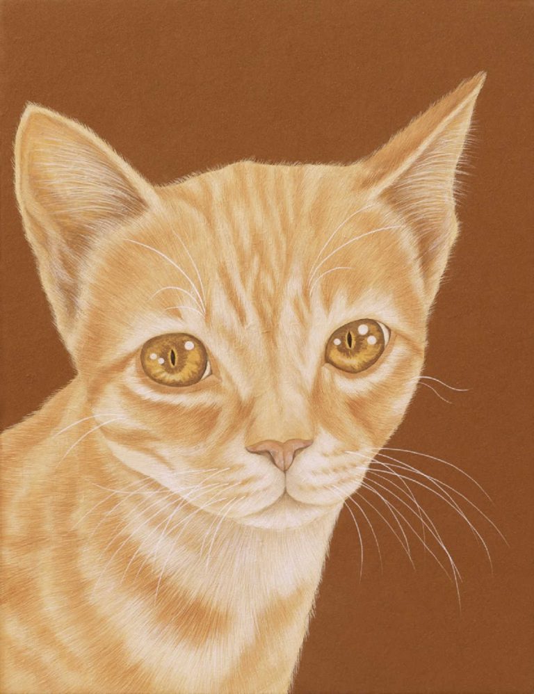 Read more about the article 人本教育基金會義賣品-鍾舜文