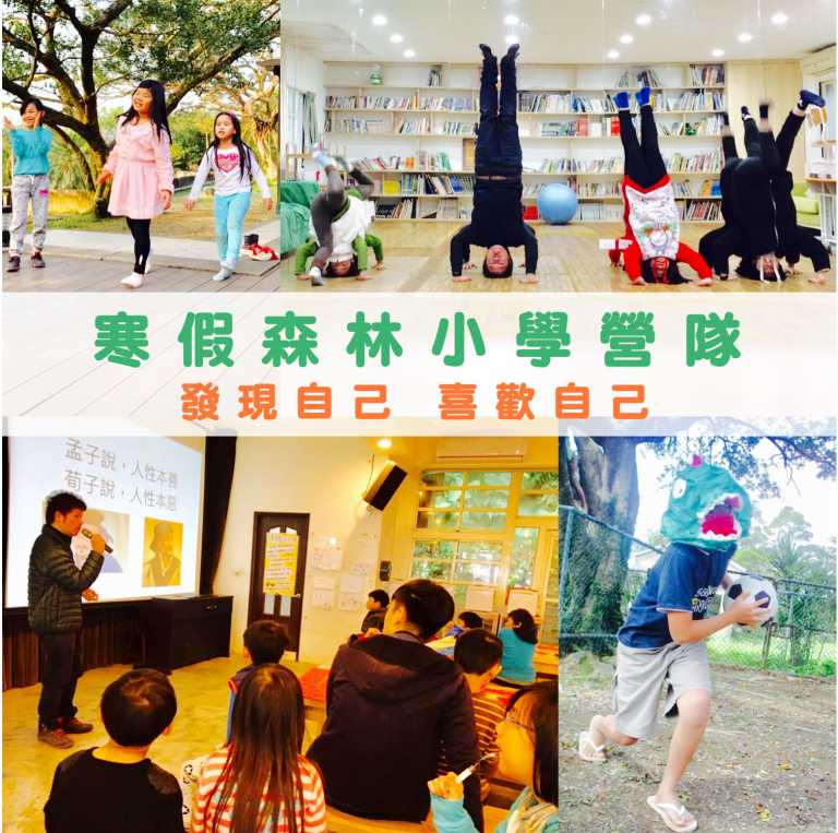 Read more about the article 森林小學試讀梯