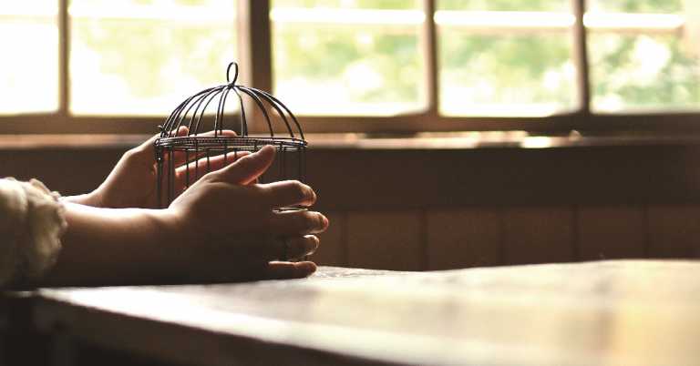 Read more about the article 假扮騎士的獄卒──校園性犯罪的權勢黑暗面