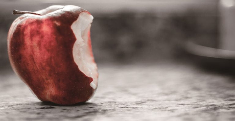 Read more about the article 與彩虹媽媽相逢