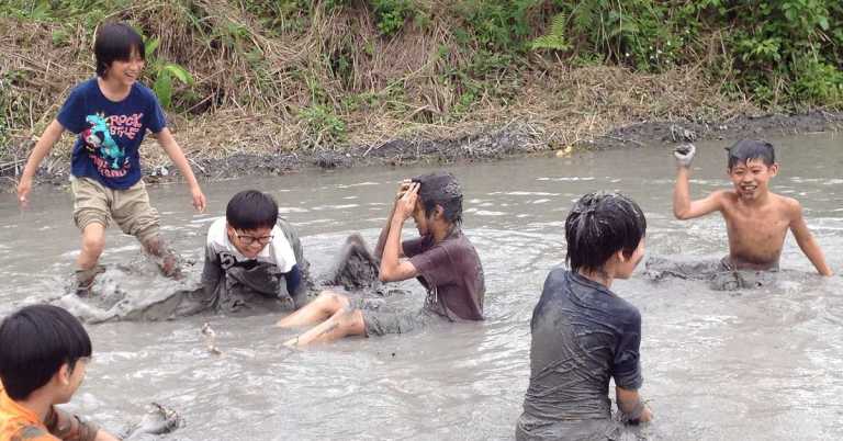 Read more about the article 森小畢業生的故事