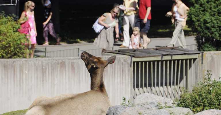 Read more about the article 為何反對動物園？（上）