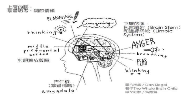 Read more about the article 你以為體罰是在教小孩？腦科學告訴我們：大腦會被體罰「打壞」！