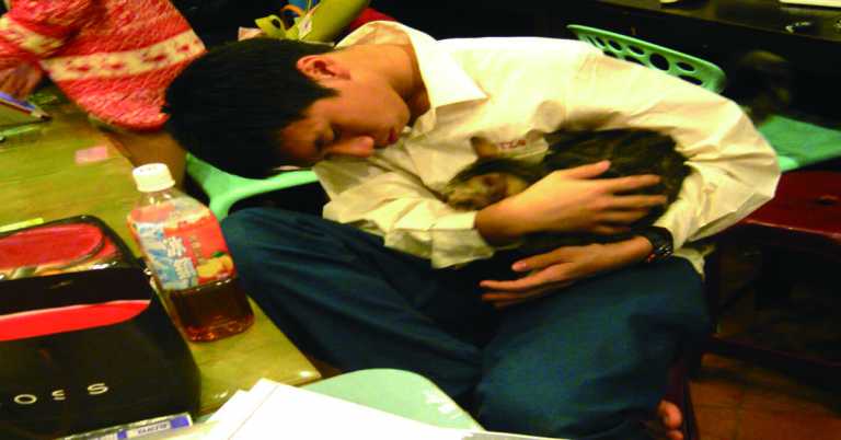 Read more about the article 等待喵孩子