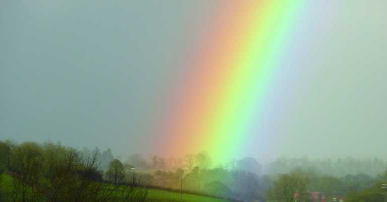 Read more about the article 森小的一堂國語課－－My Heart Leaps Up