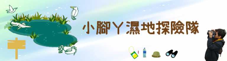 Read more about the article 小腳ㄚ濕地探險隊