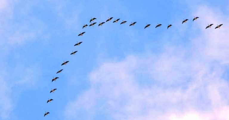 Read more about the article 在充滿焦慮的世界中，練習讓自己穩定下來