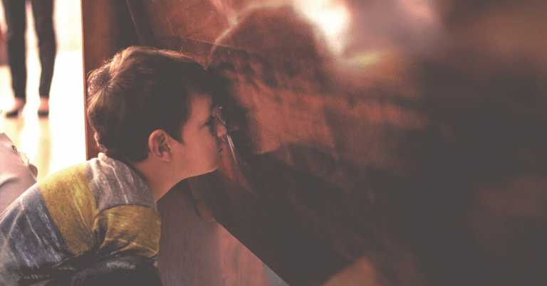 Read more about the article 性侵兒童的人，是誰？