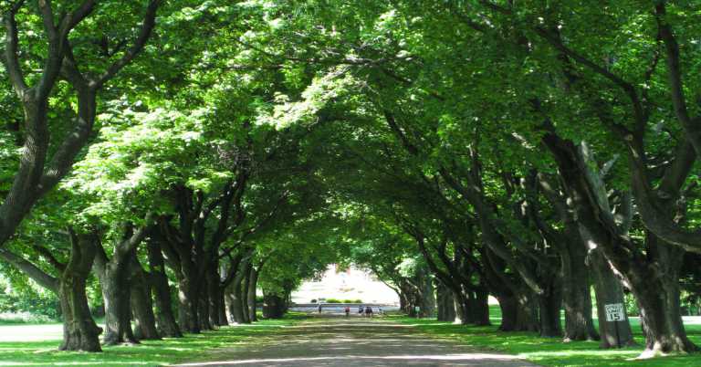 Read more about the article 幫助受歧視的孩子，是我們的責任