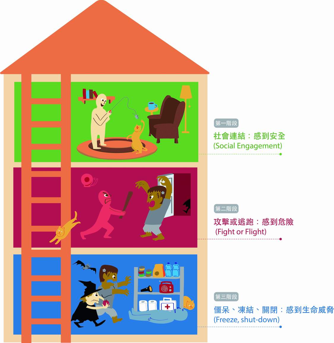 調整大小神經系統梯子（繪圖／陳郁婷）