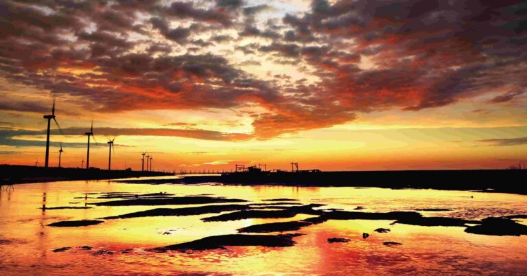 Read more about the article 藻礁的保育與開發衝突可由公投決定嗎？無論如何保育都得繼續做下去