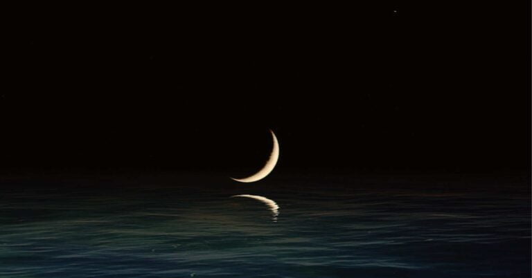 Read more about the article 知識、思想、可讀性兼備！森林小學這樣在國語課上教科普文