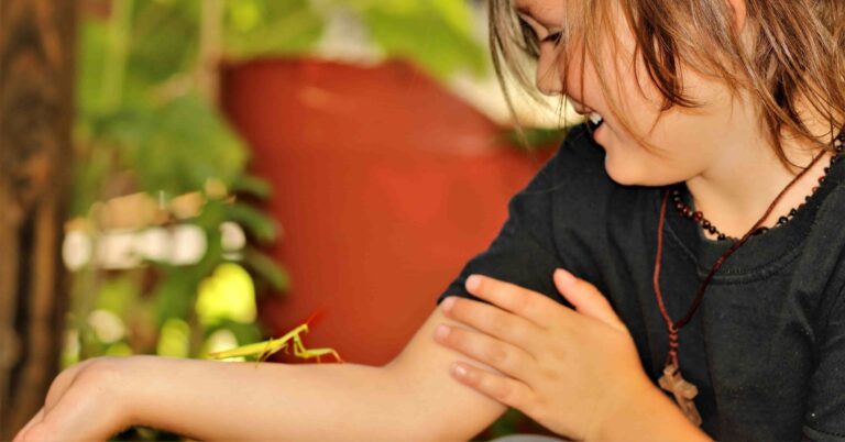 Read more about the article 跟小孩討論「殺生」：在森林育，大人陪小孩釐清心中的疑問