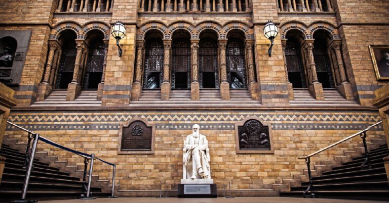 Read more about the article 真正走在與達爾文相遇的路上——破解演化論與基督信仰不兩立的迷思