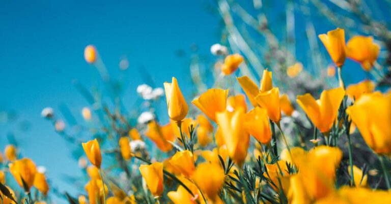 Read more about the article 基地孩子看《怪咖》