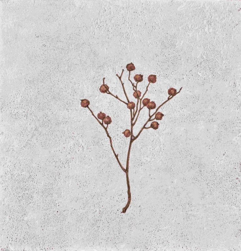 Read more about the article 鍾舜文