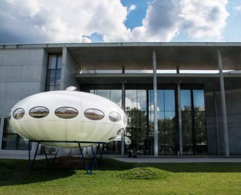 They have started building their nests in our backyards. Seen at 'Pinakothek der Moderne' in Munich, Germany.